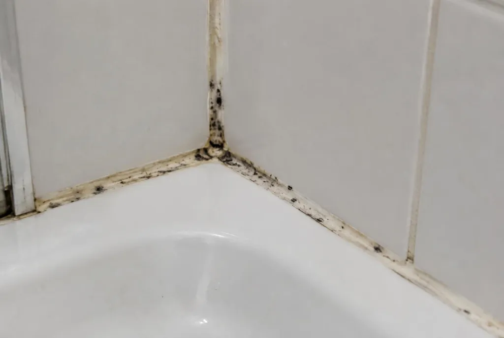 Kitbedrijf Oosterhout – beschimmelde kitranden
